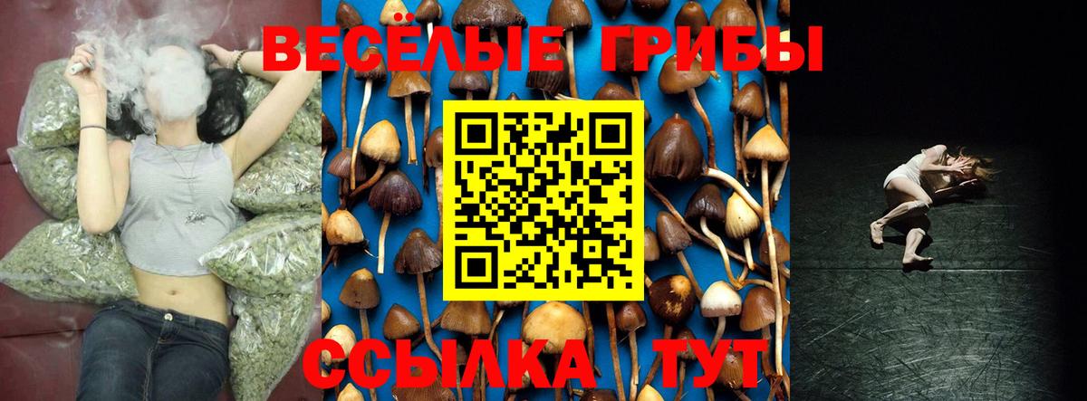 Псилоцибиновые грибы ЛСД  Вход с VPN  Камень-на-Оби  наркотики  Псилоцибиновые грибы мицелий 